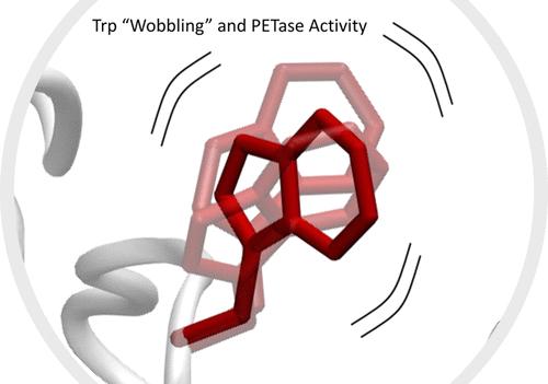 Conformational Selection of a Tryptophan Side Chain Drives the Generalized Increase in Activity of PET Hydrolases through a Ser/Ile Double Mutation