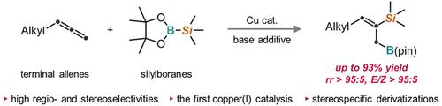 Copper(I)-Catalyzed Regio- and Stereoselective Silaboration of Terminal Allenes