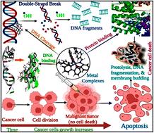 Exploring the antioxidant, antimicrobial, cytotoxic and biothermodynamic properties of novel morpholine derivative bioactive Mn(ii), Co(ii) and Ni(ii) complexes – combined experimental and theoretical measurements towards DNA/BSA/SARS-CoV-2 3CLPro†