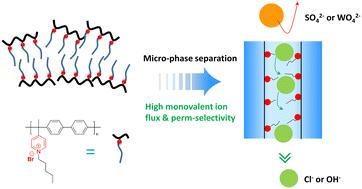 Poly(alkyl-biphenyl pyridinium) anion exchange membranes with a hydrophobic side chain for mono-/divalent anion separation†