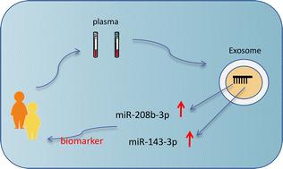 Plasma extracellular vesicles microRNA-208b-3p and microRNA-143-3p as novel biomarkers for sudden cardiac death prediction in acute coronary syndrome†