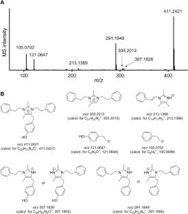 Isolation, structure elucidation, total synthesis, and biosynthesis of dermazolium A, an antibacterial imidazolium metabolite of a vaginal bacterium Dermabacter vaginalis