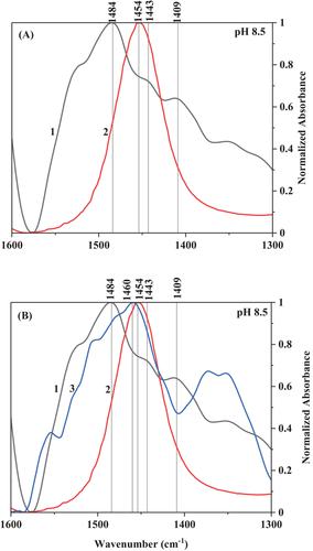 In situ ATR-FTIR spectroscopy for evidencing the adsorption mechanism of ammonium on a pinewood-derived biochar