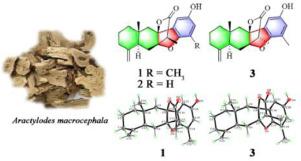 Atramacronoids A−C, three eudesmanolide sesquiterpene-phenol hybrids with an unprecedented C−C linkage from the rhizomes of Atractylodes macrocephala