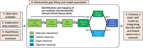 Enhancing developmental and reproductive toxicity knowledge: A new AOP stemming from glutathione depletion