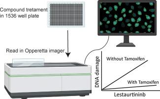 Lestaurtinib induces DNA damage that is related to estrogen receptor activation