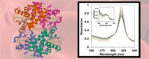 Detail study on the interaction between perfluorooctanoic acid (PFOA) with human hemoglobin (Hb)