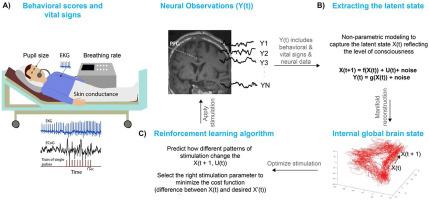 Microscale multicircuit brain stimulation: Achieving real-time brain state control for novel applications