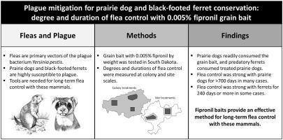 Plague mitigation for prairie dog and black-footed ferret conservation: Degree and duration of flea control with 0.005% fipronil grain bait