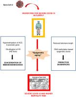 An evidence-based debate on epigenetics and immunosenescence in COVID-19