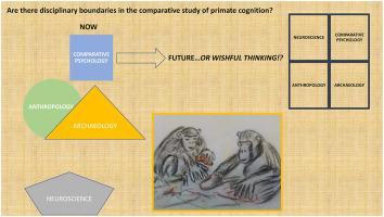 Are there disciplinary boundaries in the comparative study of primate cognition?