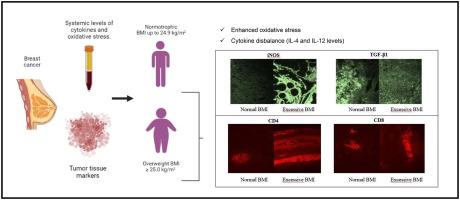 Excess body weight significantly affects systemic and tumor inflammatory status and correlates to poor prognosis parameters in patients with breast cancer