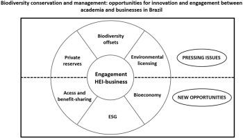 Business, biodiversity, and innovation in Brazil