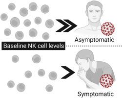 High baseline frequencies of natural killer cells are associated with asymptomatic SARS-CoV-2 infection