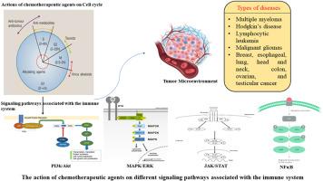 Role of chemotherapeutic drugs in immunomodulation of cancer