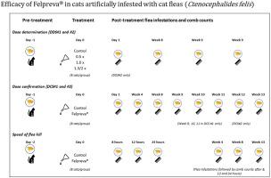 Immediate and long-term efficacy of Felpreva®, a new spot-on formulation containing tigolaner, emodepside and praziquantel, applied as a single application to cats artificially infested with the cat flea Ctenocephalides felis