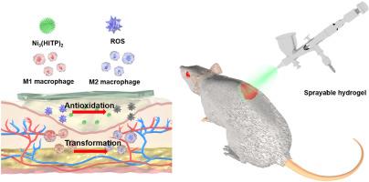 Promotion of wound healing by a thermosensitive and sprayable hydrogel with nanozyme activity and anti-inflammatory properties