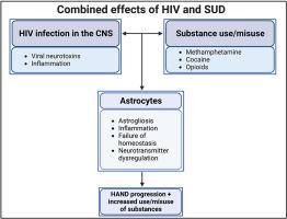 Astrocytes: Role in pathogenesis and effect of commonly misused drugs in the HIV infected brain