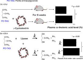 Co-ingestion with γ-cyclodextrin improves bioavailability of α-linolenic acid in Perilla frutescens seed oil