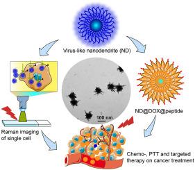 Tumor microenvironment-responsive gold nanodendrites for nanoprobe-based single-cell Raman imaging and tumor-targeted chemo-photothermal therapy