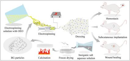 Anti-inflammatory, antibacterial, and antioxidative bioactive glass-based nanofibrous dressing enables scarless wound healing