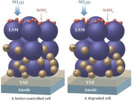 Experimental and computational investigations on the SO2 poisoning of (La0.8Sr0.2)0.95MnO3 cathode materials