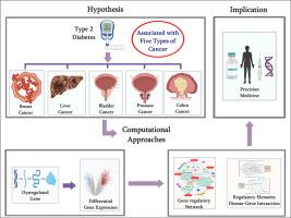 Probing biological network in concurrent carcinomas and Type-2 diabetes for potential biomarker screening: An advanced computational paradigm