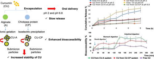 Efficacy of alginate and chickpea protein polymeric matrices in encapsulating curcumin for improved stability, sustained release and bioaccessibility