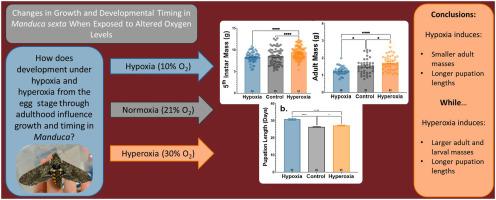 Changes in growth and developmental timing in Manduca sexta when exposed to altered oxygen levels