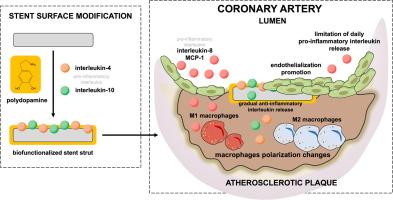 In vitro examinations of the anti-inflammatory interleukin functionalized polydopamine based biomaterial as a potential coating for cardiovascular stents