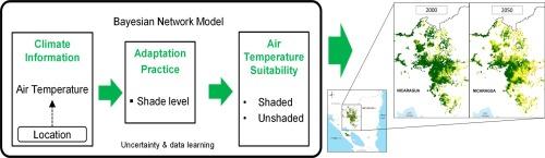 Exploring the cooling effect of shading for climate change adaptation in coffee areas