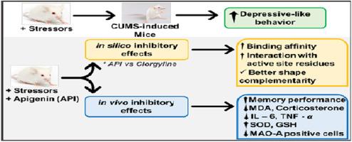 Apigenin attenuates depressive-like behavior via modulating monoamine oxidase A enzyme activity in chronically stressed mice