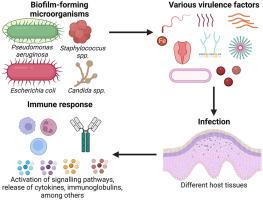 Battle royale: Immune response on biofilms – host-pathogen interactions