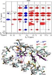 Assignment of aromatic side-chain spins and characterization of their distance restraints at fast MAS