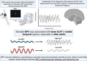 Short-term blood pressure variability is inversely related to regional amplitude of low frequency fluctuations in older and younger adults