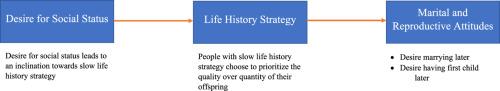 Desire for social status affects marital and reproductive attitudes: A life history mismatch perspective