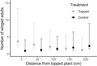 Cotton topping reduces the performance of aphids on topped and neighbor plants under greenhouse conditions