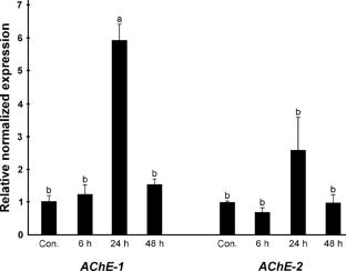 Emulsion oil in water formulation of methyl-eugenol increases its insecticidal activity against Cydia pomonella L. (Lepidoptera: Tortricidae)