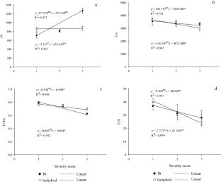 Physiological responses in genetically modified cotton and its isohybrid attacked by Aphis gossypii Glover (Hemiptera: Aphididae)