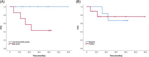 Clinicopathological practice in the differential diagnosis of mucoepidermoid carcinoma from neoplasms with mucinous component