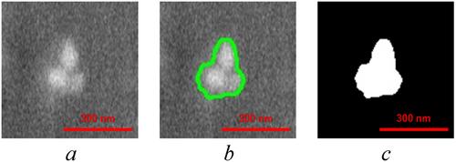 Electric field distribution around asymmetric agglomerate model reconstructed from FIB–SEM images of epoxy nanocomposite