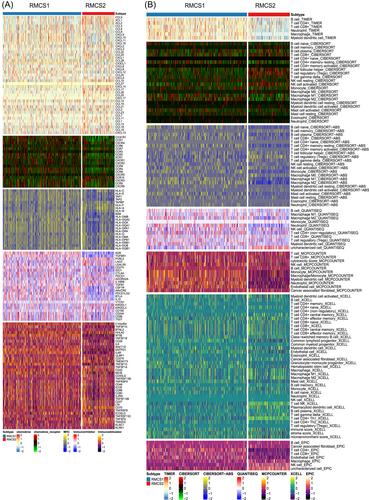 RNA modification pattern-based subtypes reveal heterogenous clinical outcomes and tumor immunity of clear cell renal cell carcinoma