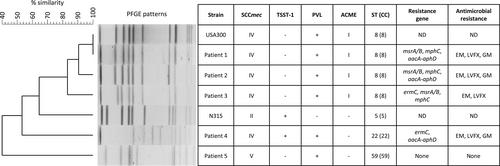 Severity and intractableness of skin infections caused by Panton–Valentine leukocidin-positive methicillin-resistant Staphylococcus aureus