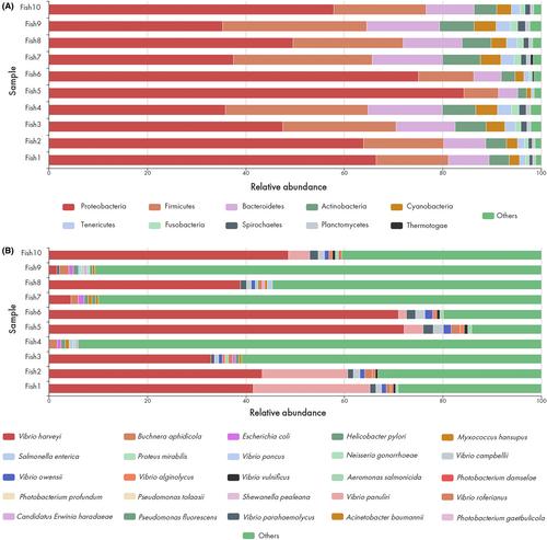 Cutaneous ulcerative lesions of unknown etiology affecting lionfish Pterois spp. in the Gulf of Mexico