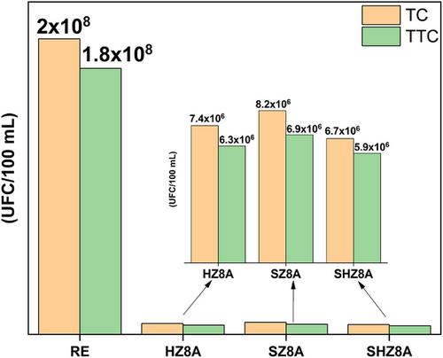 Study of the bactericidal properties of ZnO/Ag0 nanoparticles in the treatment of raw sewage effluents