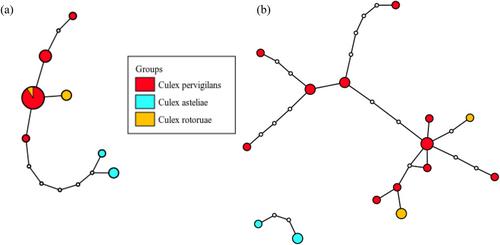 Comparative performance of a multi-locus barcoding approach to enhance taxonomic resolution of New Zealand mosquitoes (Diptera: Culicidae)