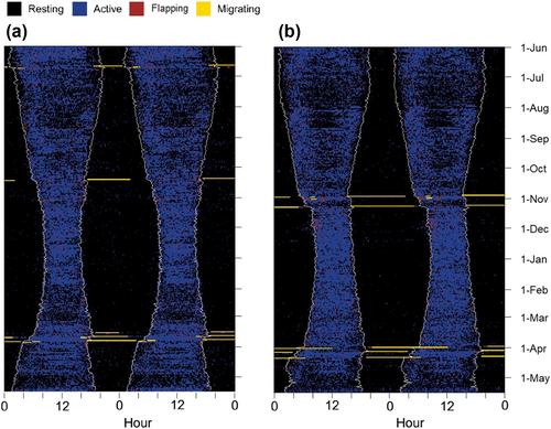 Migration strategies, performance and annual activity budget in a short-distance migrant, the common starling Sturnus vulgaris