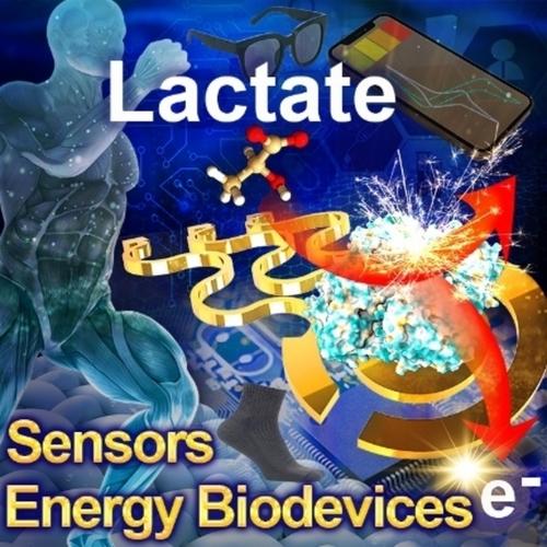 Wearable Electrodes for Lactate: Applications in Enzyme-Based Sensors and Energy Biodevices