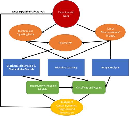 A review of computational modeling, machine learning and image analysis in cancer metastasis dynamics