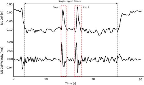 Ankle flexor/extensor strength and muscle density are complementary determinants of balance during dual-task engagement: The ankle quality study